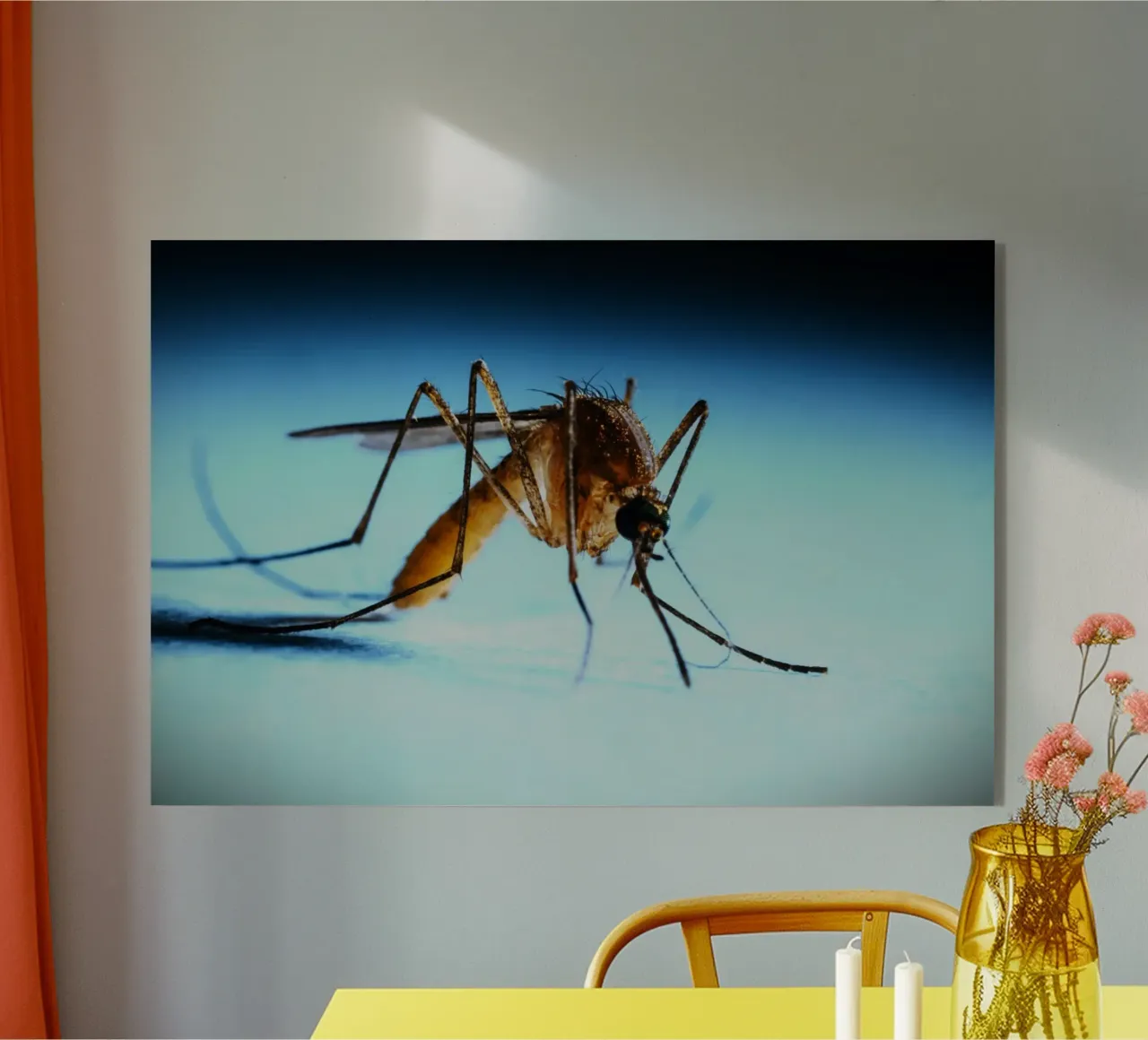 Piccolo ma non invisibile plexiglass da Nature's Palette
