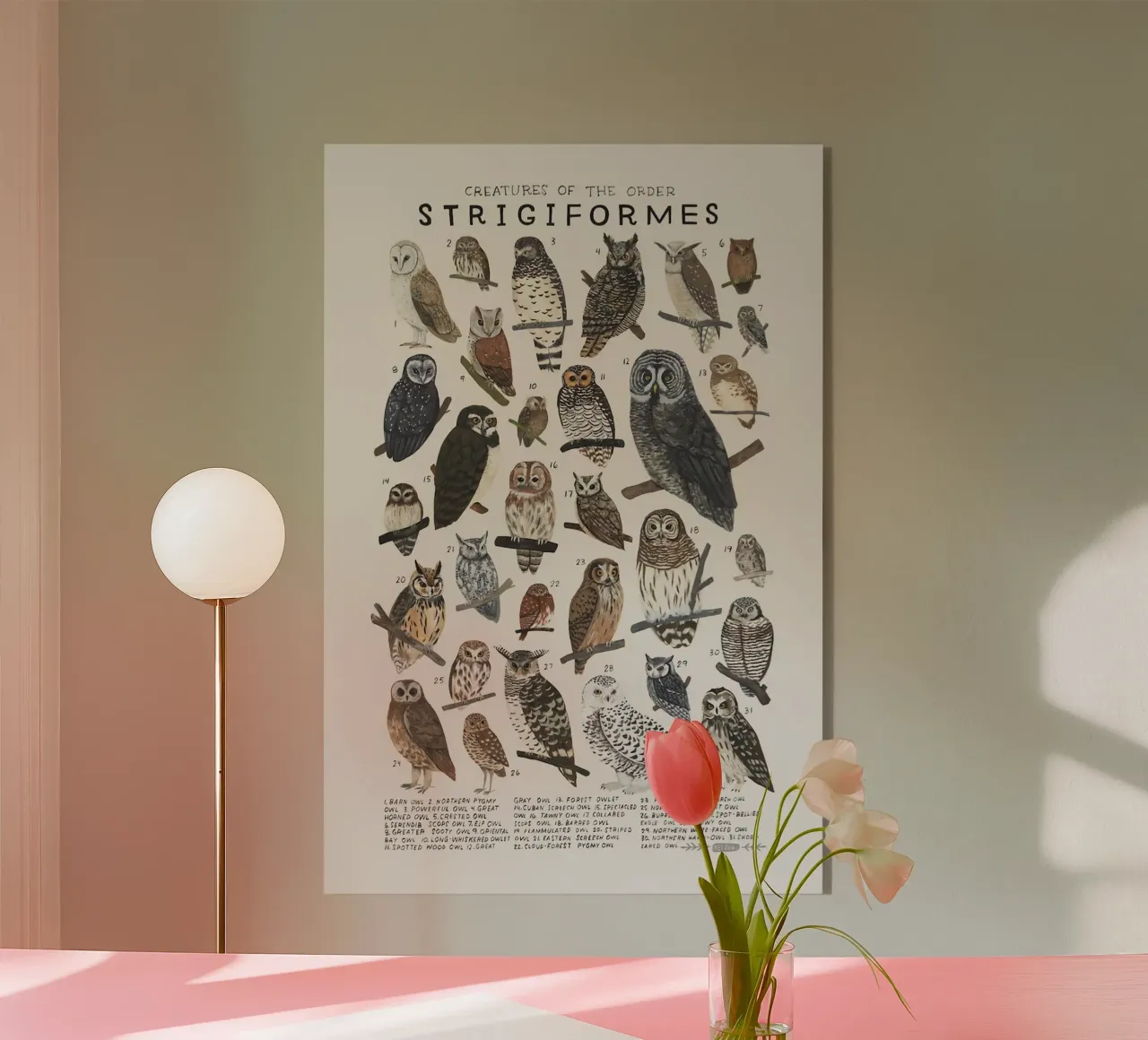 Strigiformi plexiglass da Julia Atelier