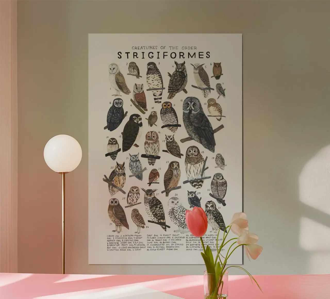 Strigiformi carta hahnemühle da Julia Atelier