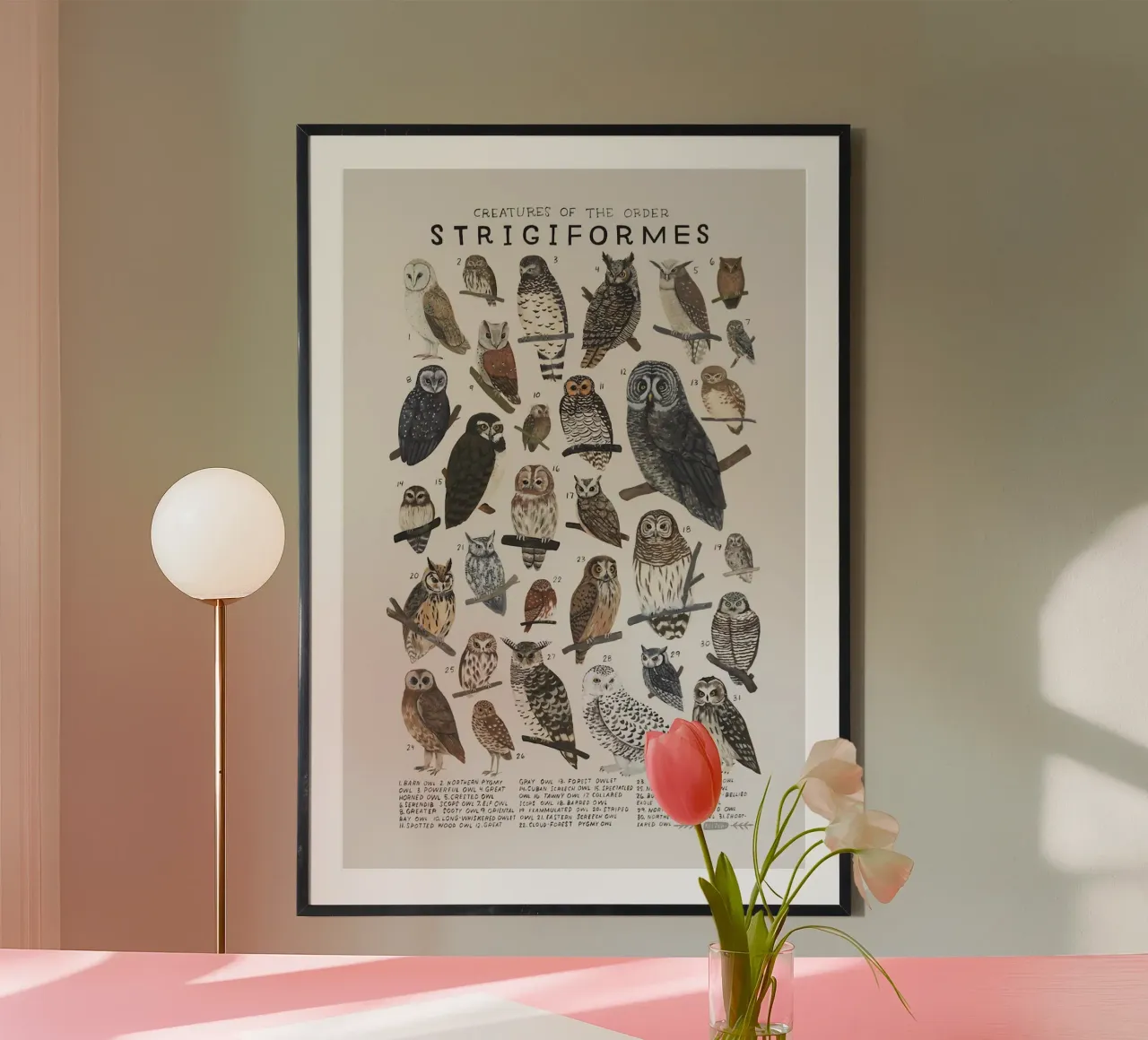 Strigiformi carta hahnemühle da Julia Atelier
