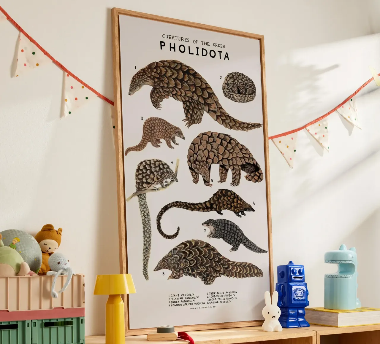 Pholidota plexiglass da Graham Robertson