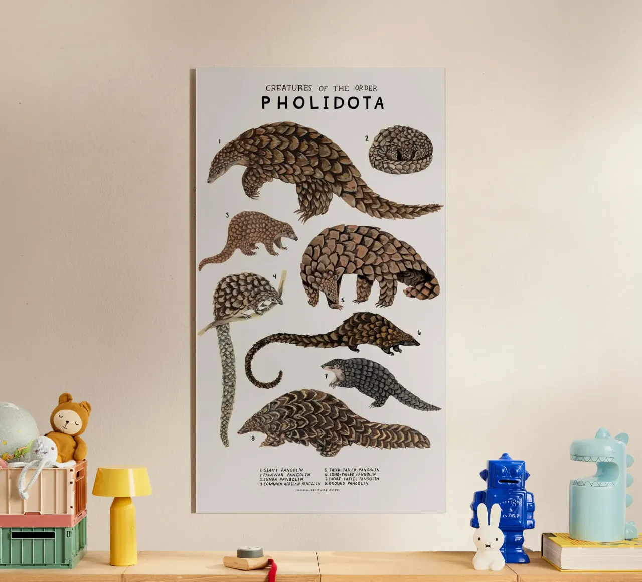 Pholidota plexiglass da Graham Robertson