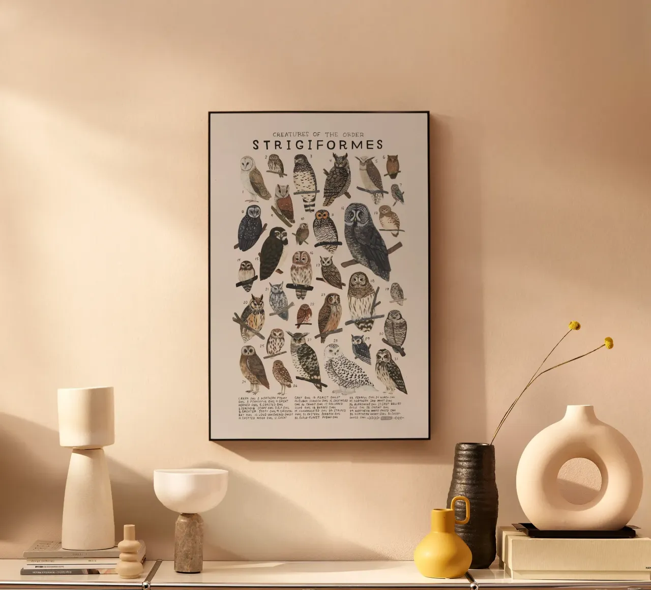 Strigiformi plexiglass da Graham Robertson