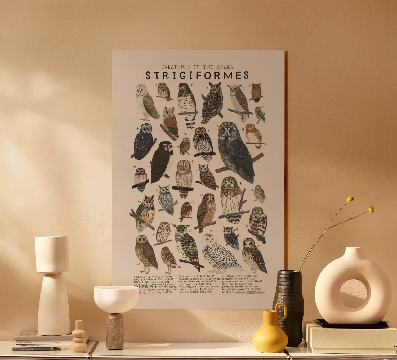 Strigiformi plexiglass da Graham Robertson