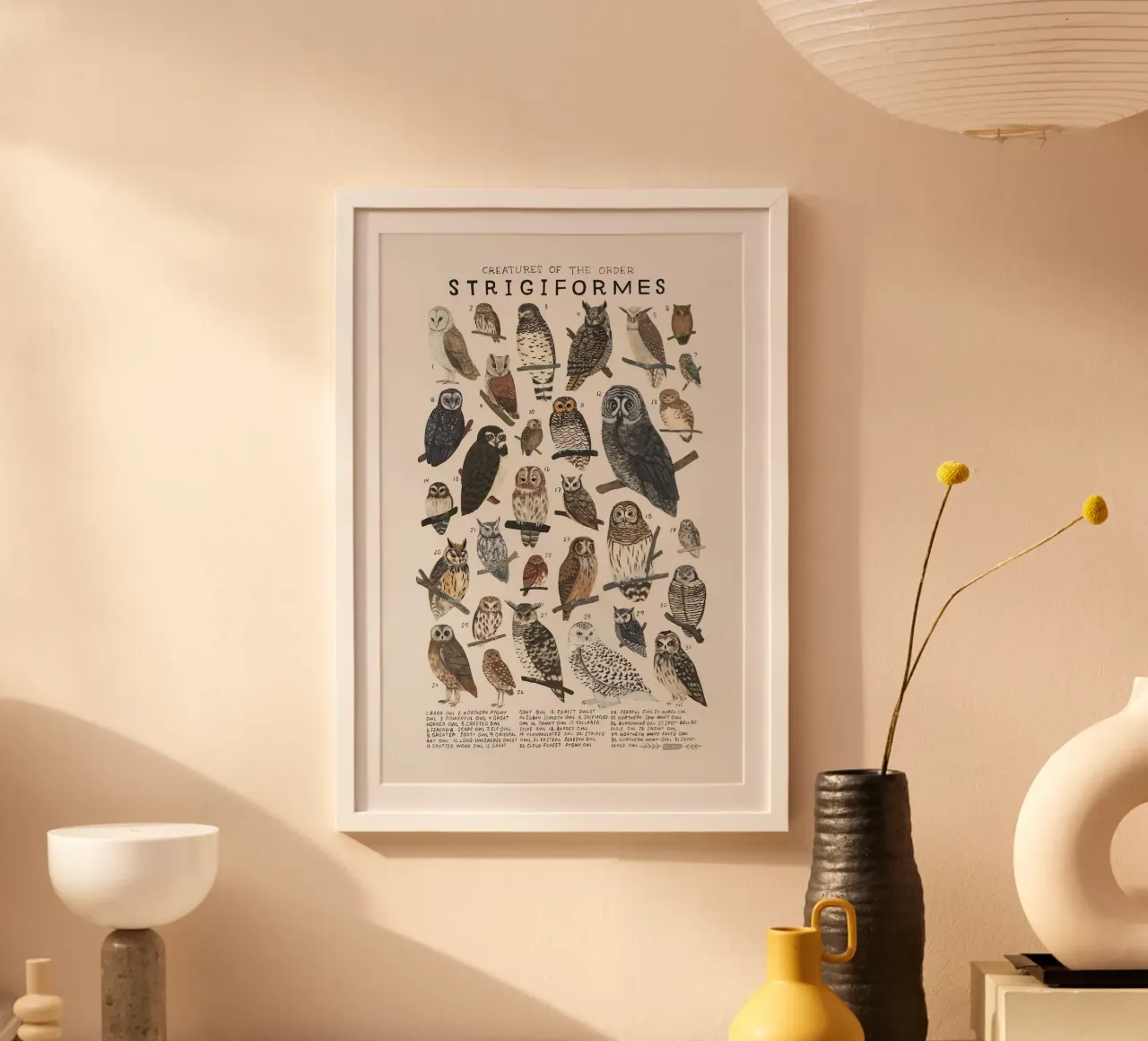 Strigiformi carta hahnemühle da Graham Robertson