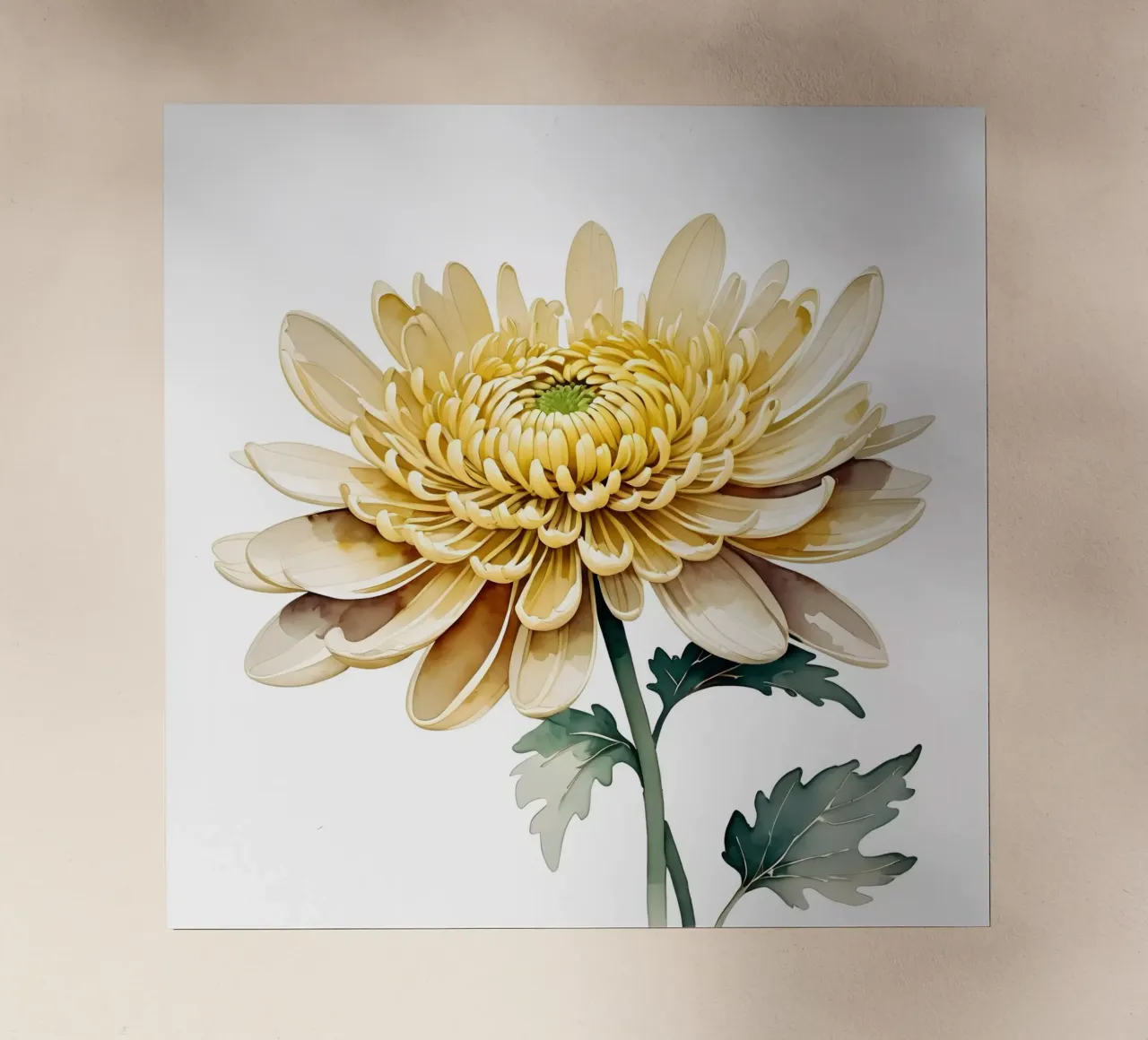 Fioritura del crisantemo d'oro pellicola backlit da Artistic-shop