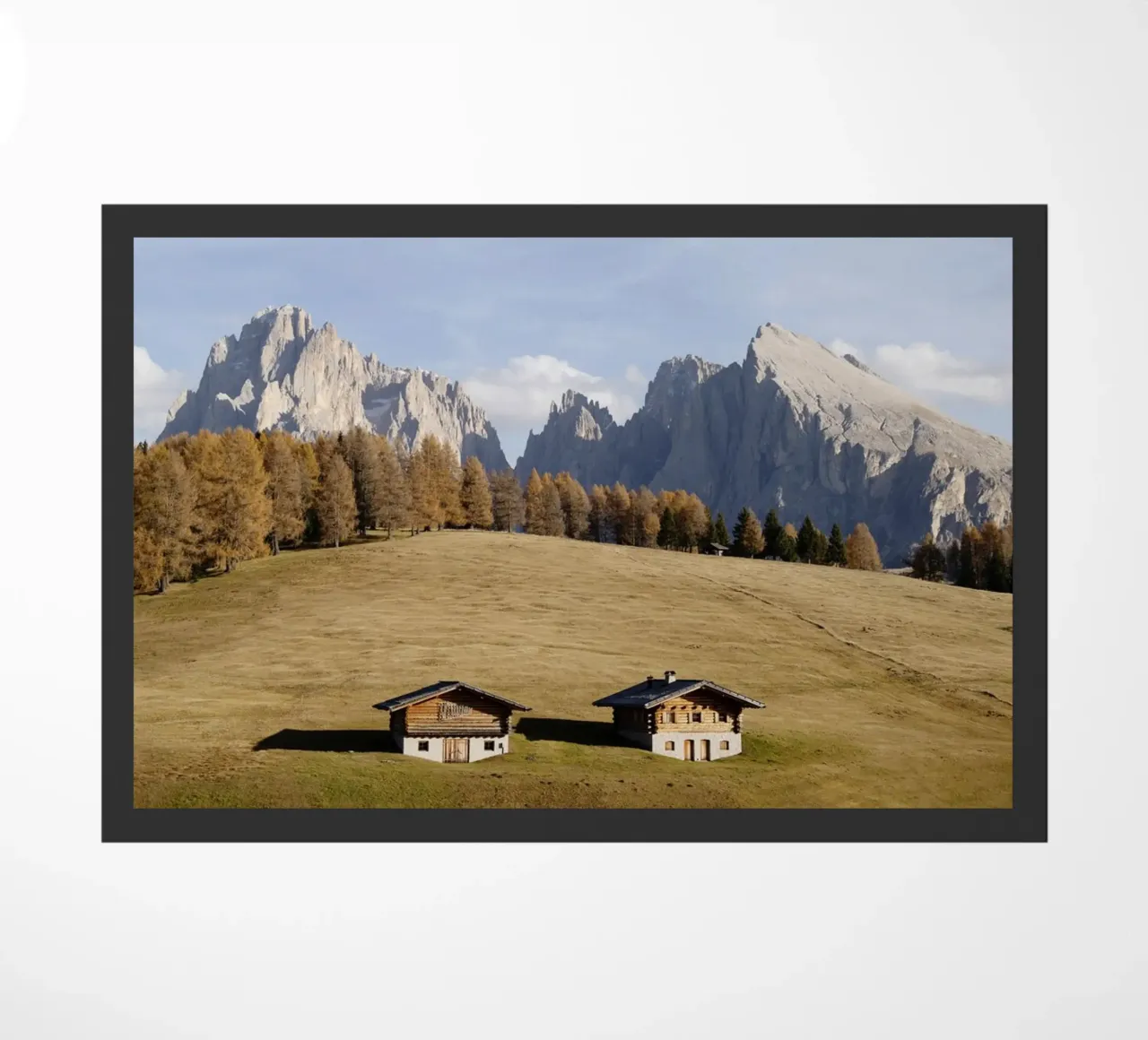 Alpe di Siusi Alto Adige zerbino da Simon Koy