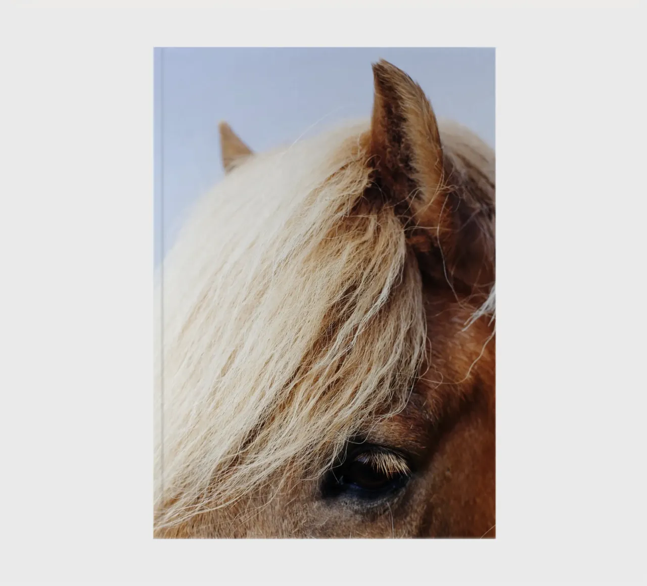 Pferd in Island notebook by Simon Koy