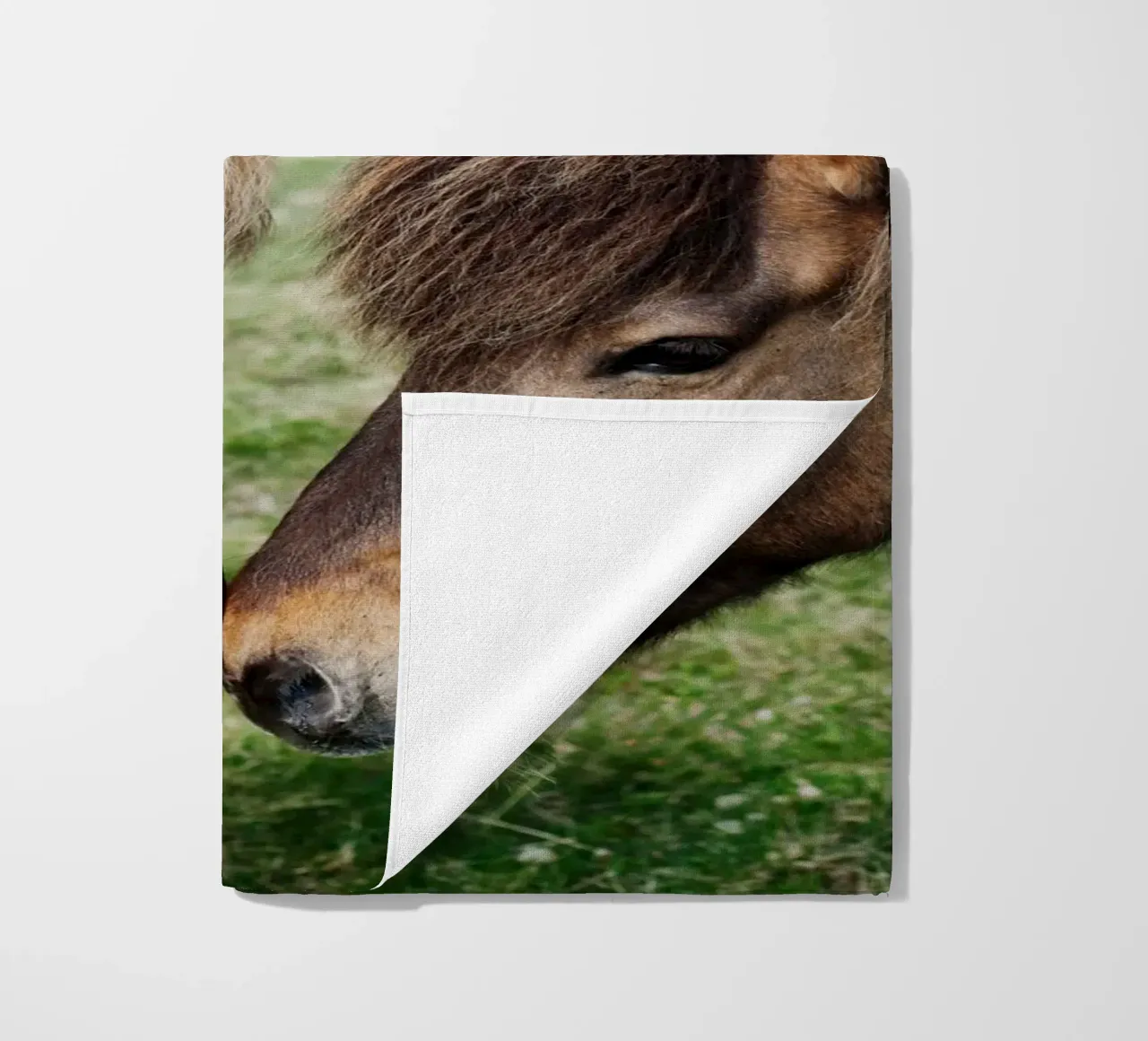 Amore per i cavalli in Islanda telo mare da fotokunst