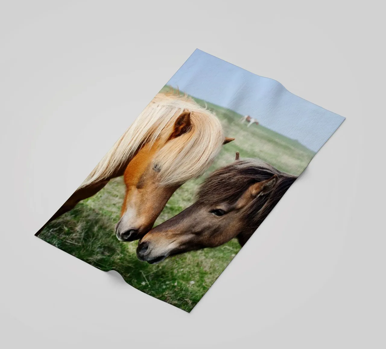 Amore per i cavalli in Islanda telo mare da fotokunst