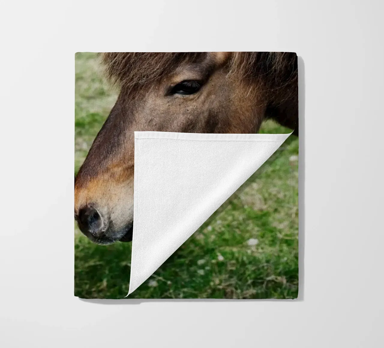 Amore per i cavalli in Islanda telo mare da fotokunst