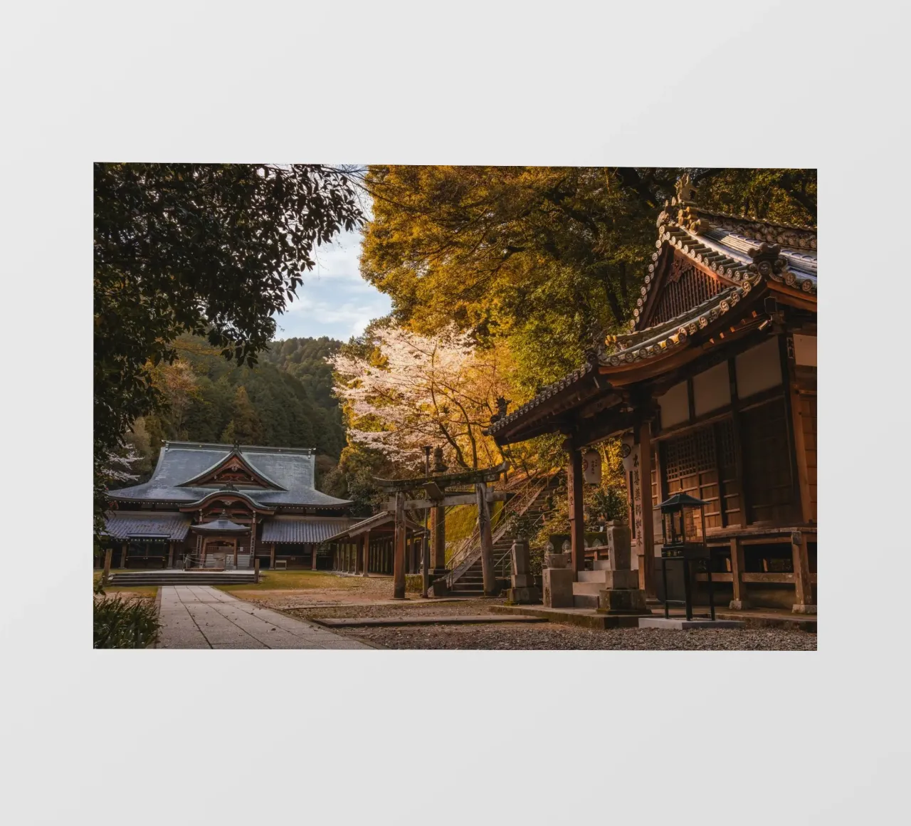 Tempio della foresta a Shikoku, Giappone telo in pvc da Marcel Bisig