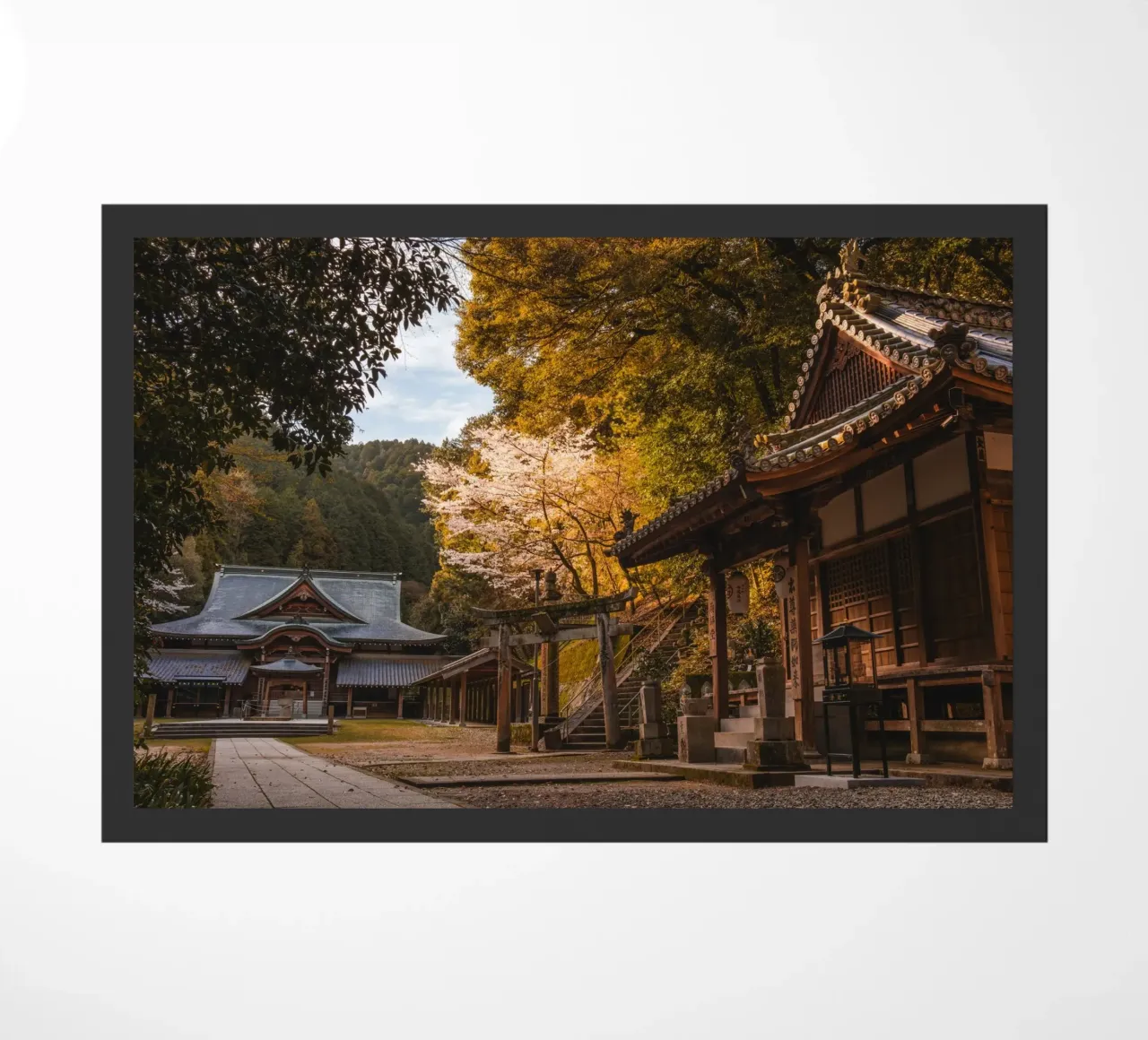 Tempio della foresta a Shikoku, Giappone zerbino da Marcel Bisig