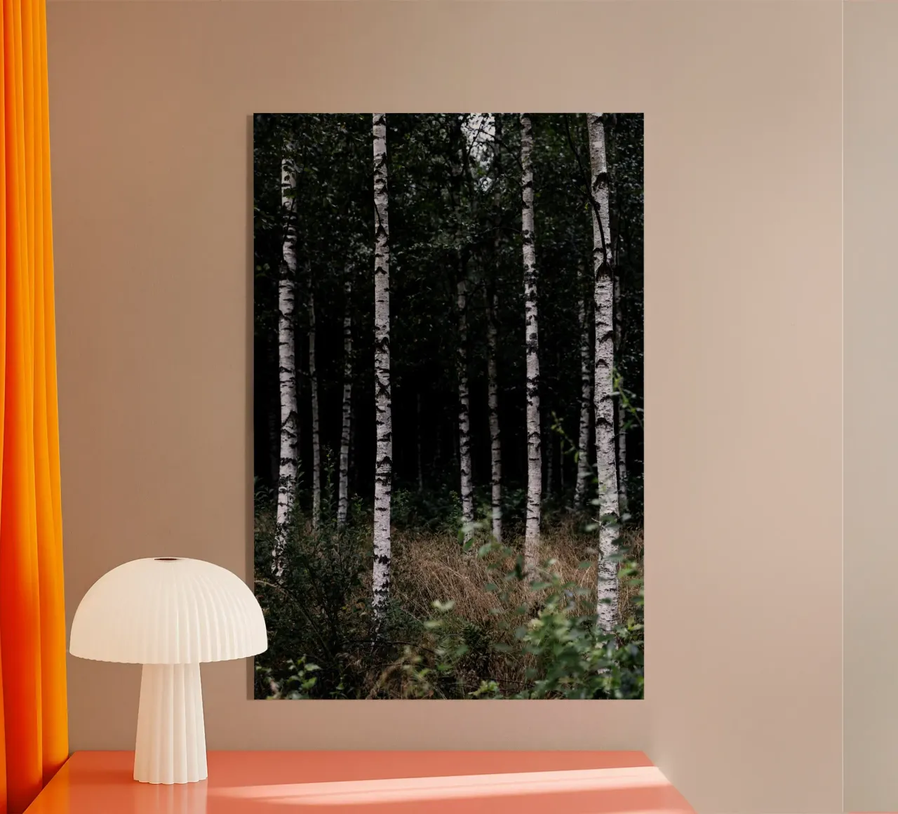 Birch Trees 11 plexiglass da Mareike Böhmer Photography