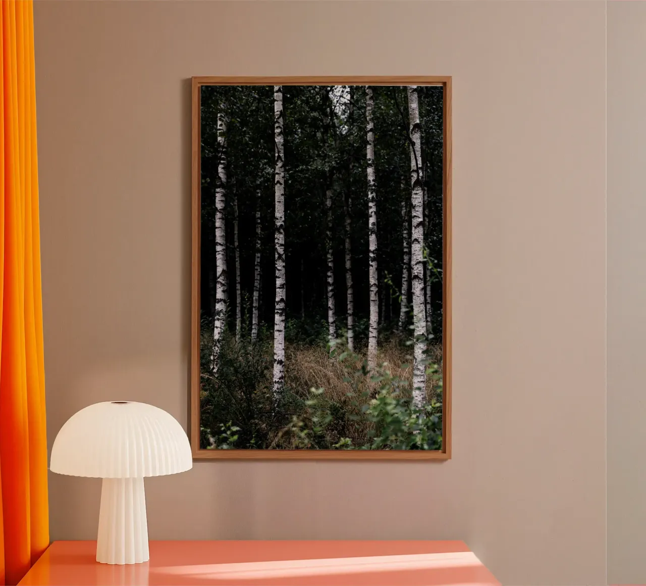 Birch Trees 11 Alu-Dibond von Mareike Böhmer Photography