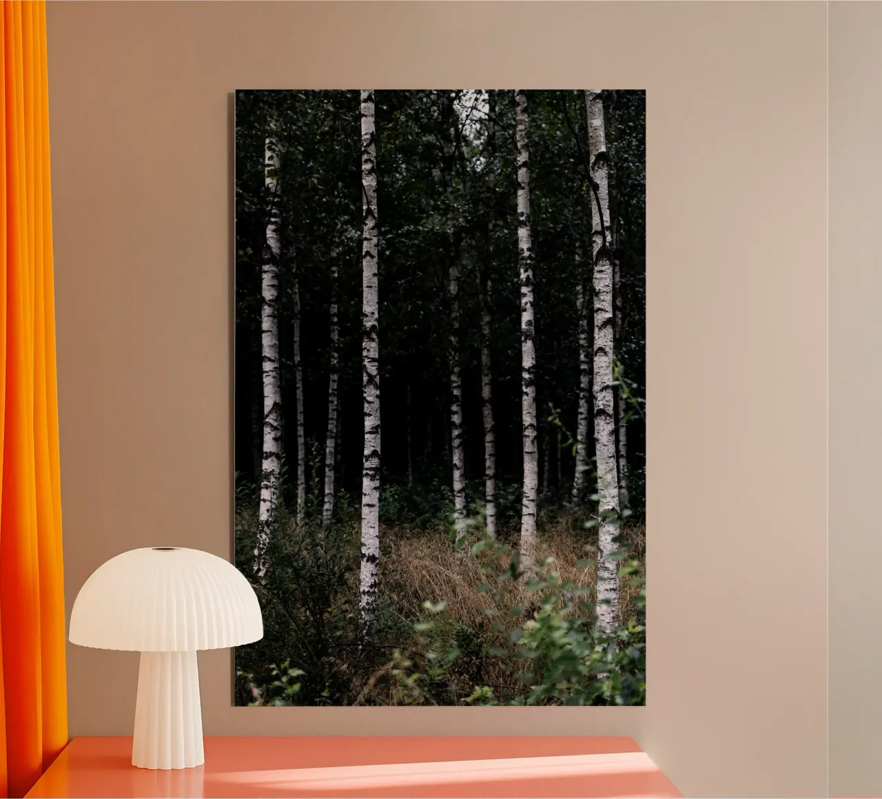 Birch Trees 11 Alu-Dibond von Mareike Böhmer Photography