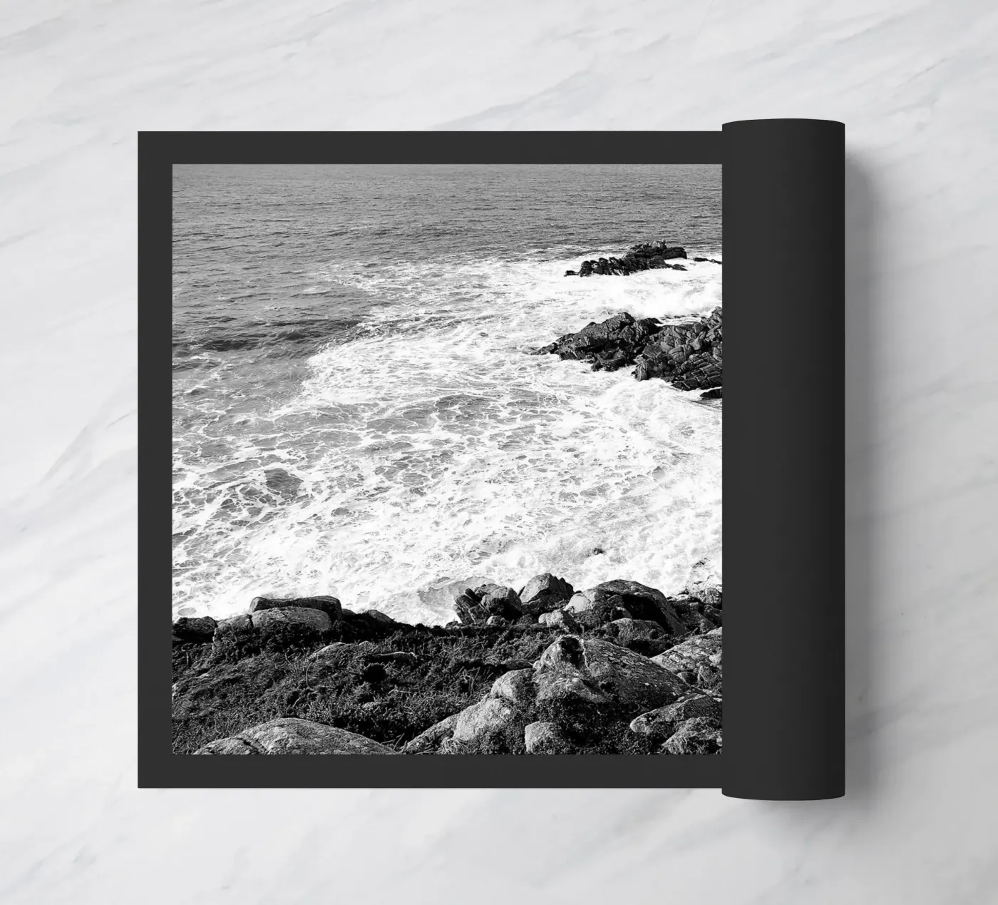 BW92 zerbino da Thierry vobmann photography