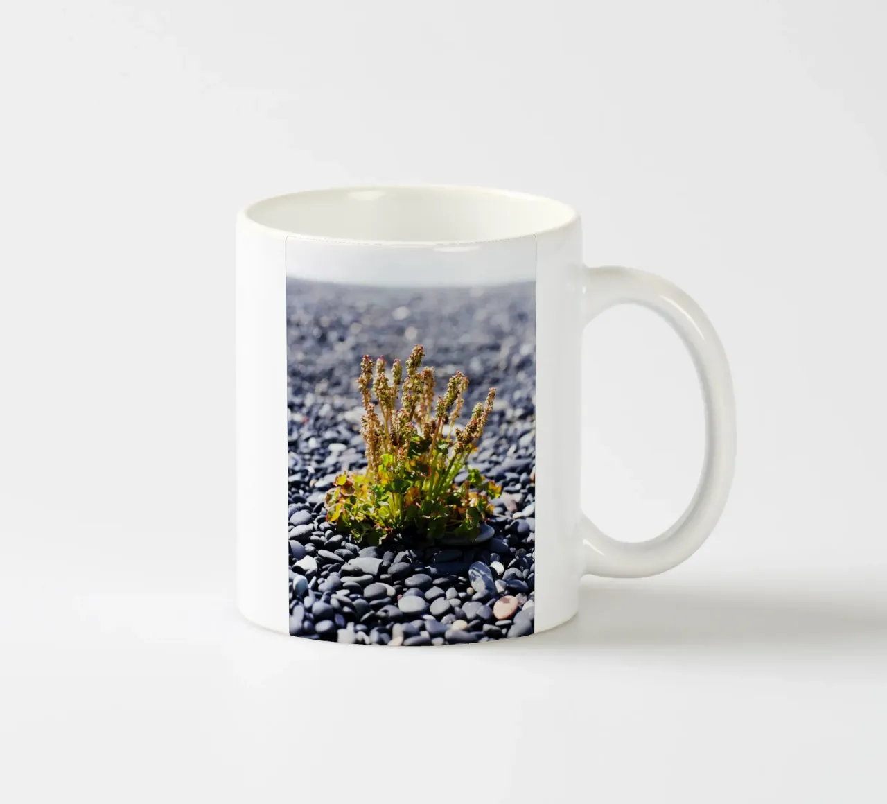 Impianto in Islanda tazza in ceramica da Simon Koy