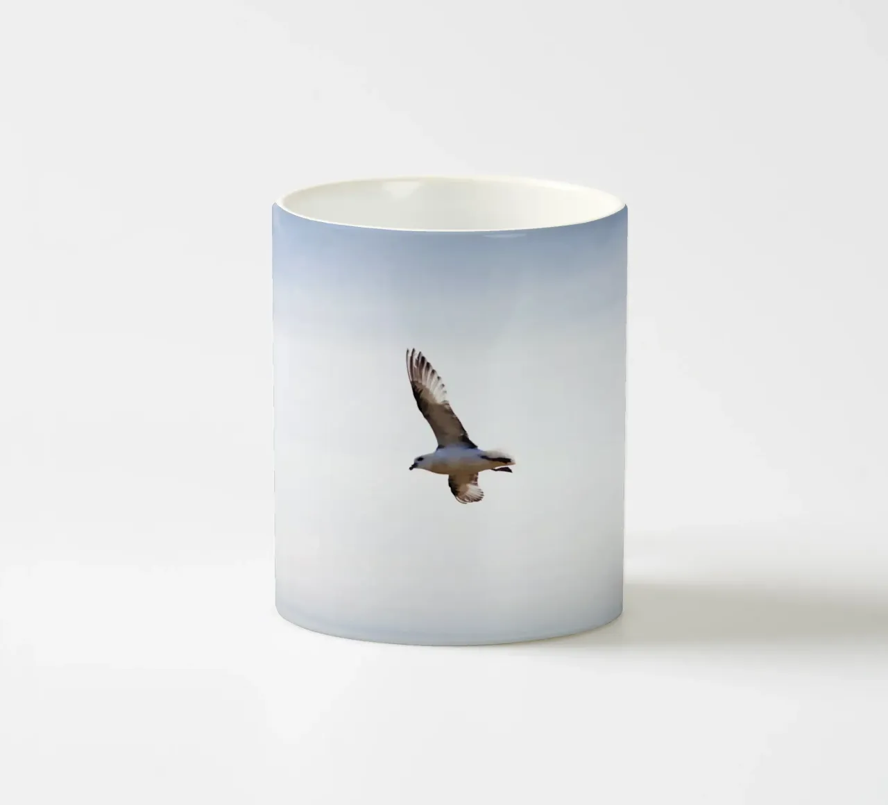 Gabbiano in Islanda tazza in ceramica da Simon Koy