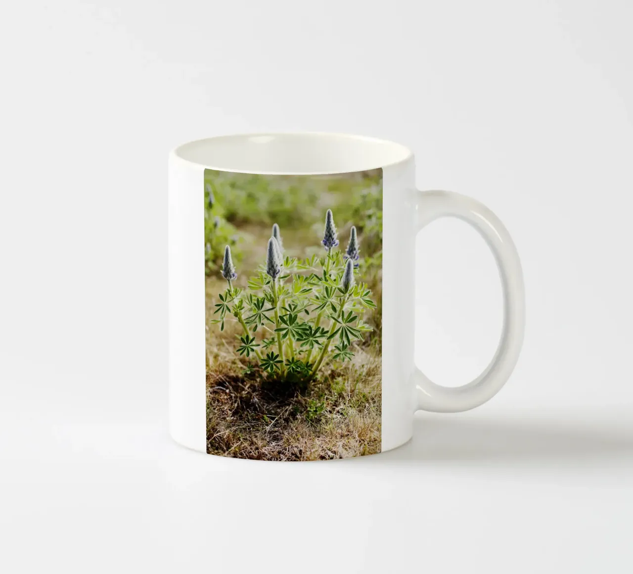 Impianto in Islanda tazza in ceramica da Simon Koy