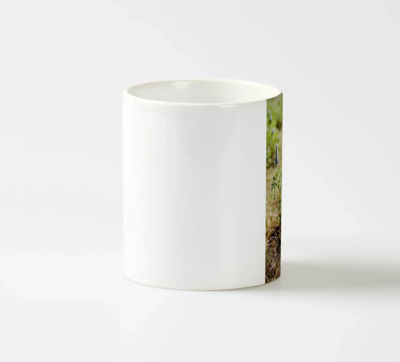 Impianto in Islanda tazza in ceramica da Simon Koy