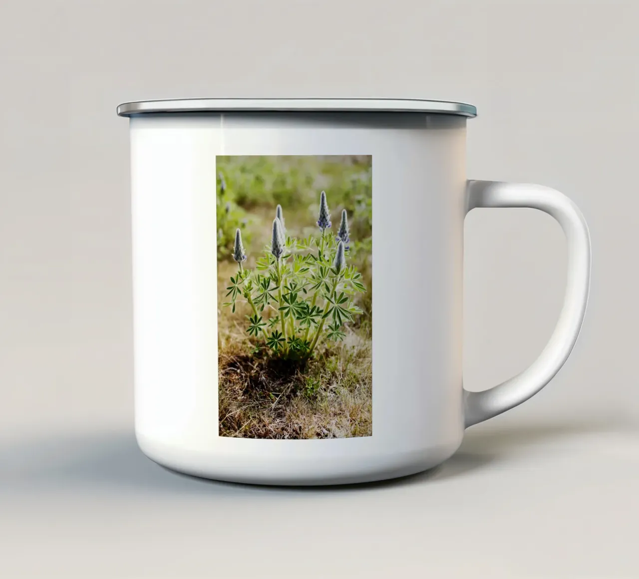 Impianto in Islanda tazza in smalto da Simon Koy
