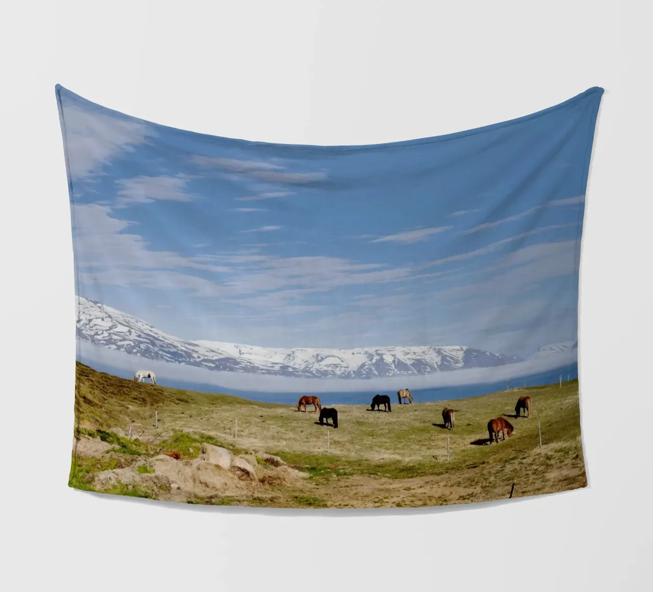 Cavalli in Islanda coperta in pile da Simon Koy