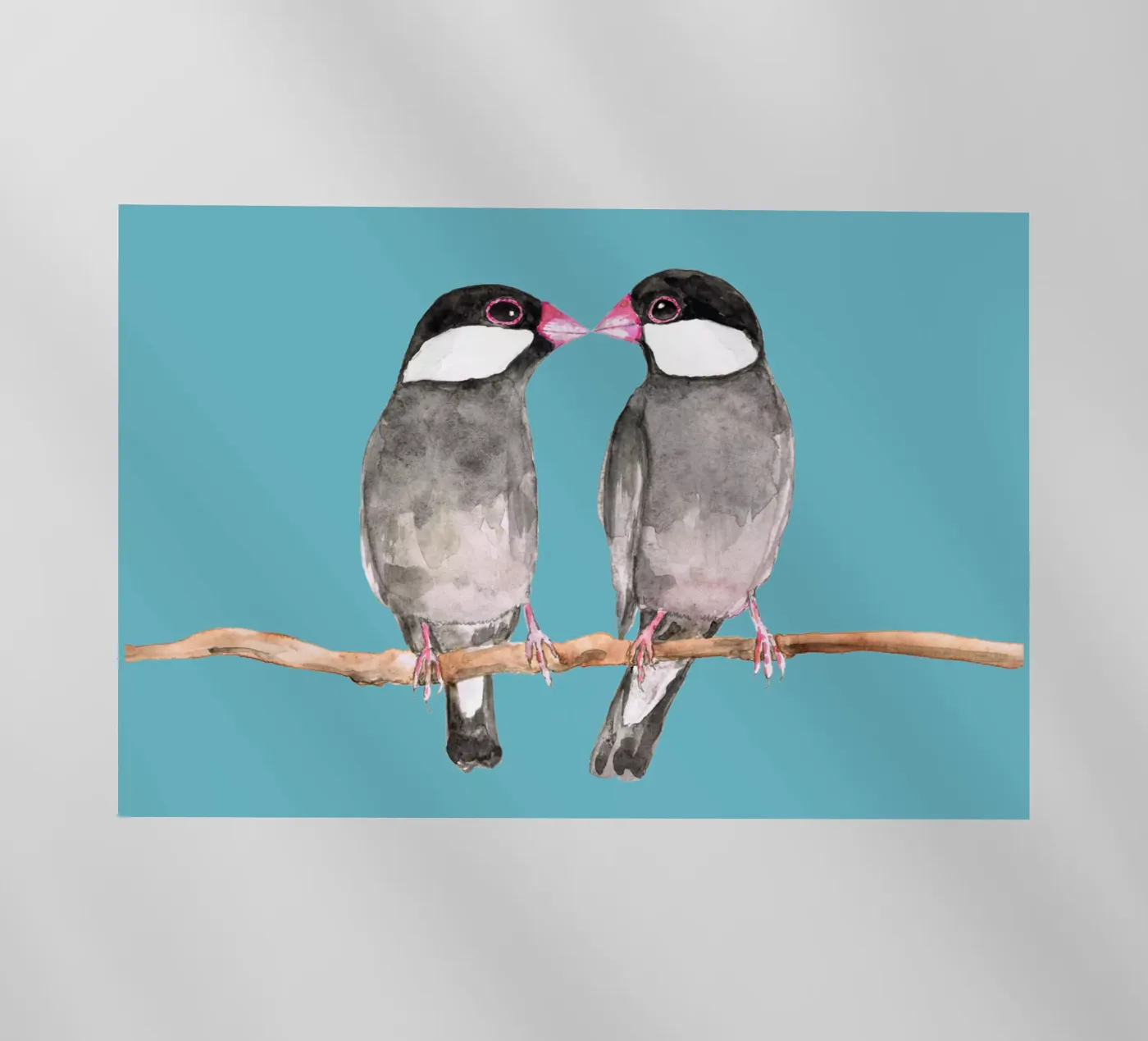 Two kissing Java sparrows backlit film by BwiseLizzy