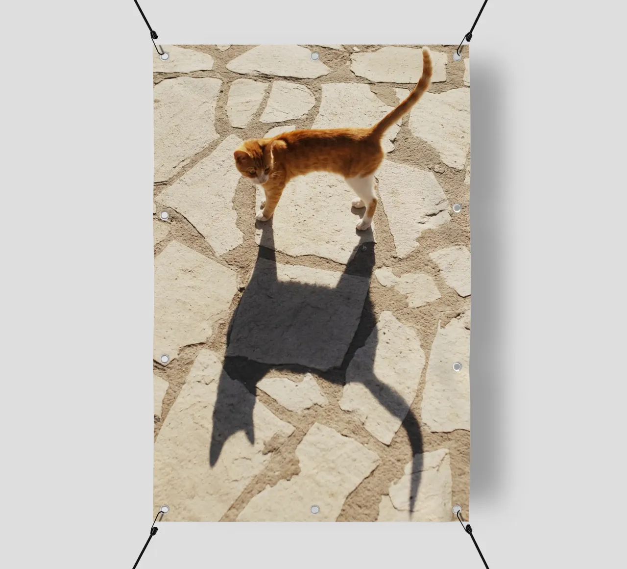 Gatto in Grecia telo in pvc da Simon Koy