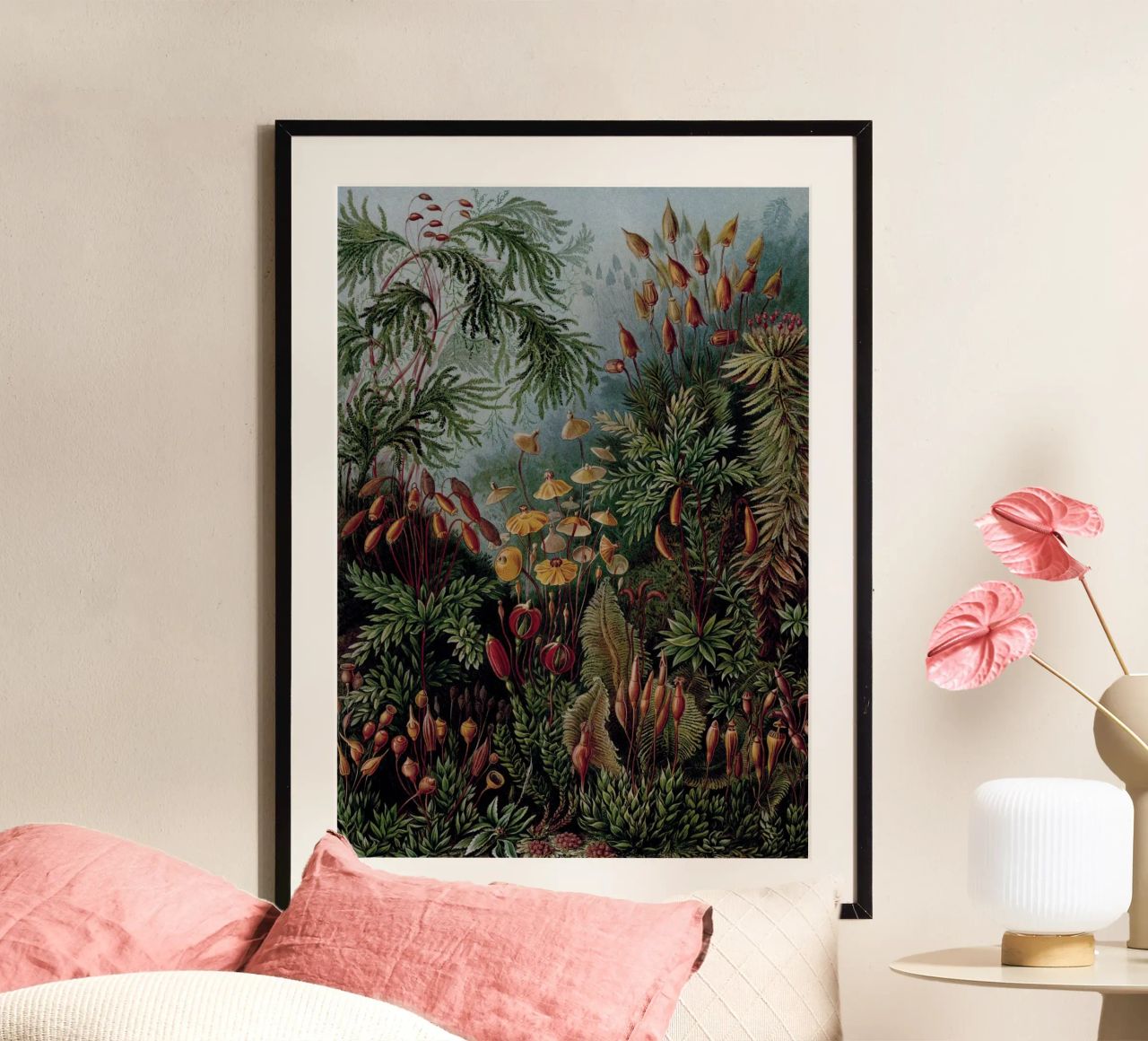 Vintage Haeckel 17 Tafel 72 Laubmoose poster de Vintage Print Collection
