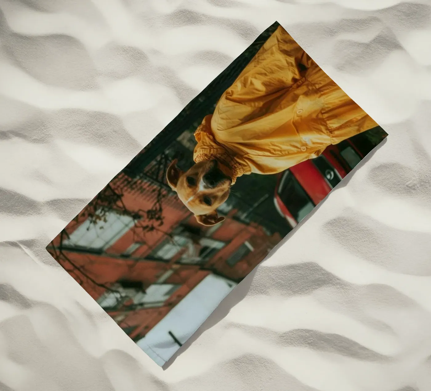 Léo beach towel by Affiches Chien Originales – Dogland