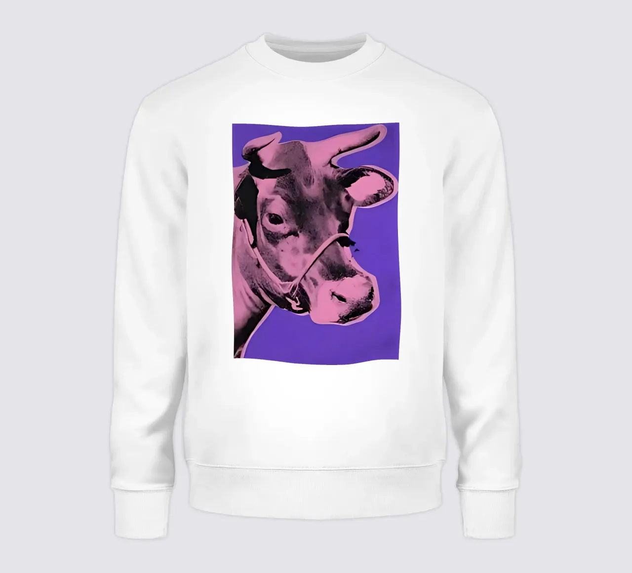 Andi Warhol 2 felpa da loniegrimes