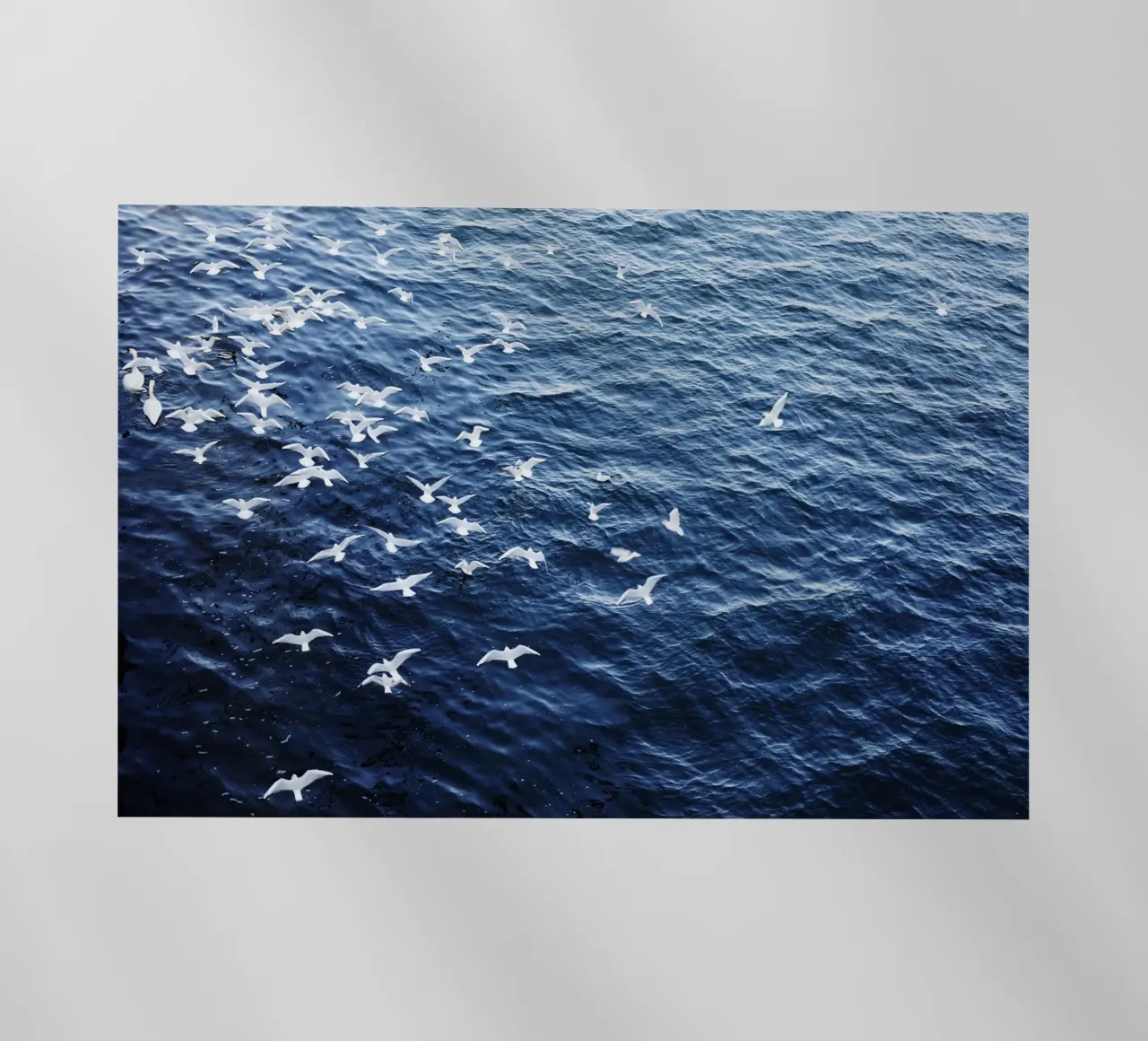 Zeemeeuwen in Wenen (Oostenrijk) backlit folie van fotokunst