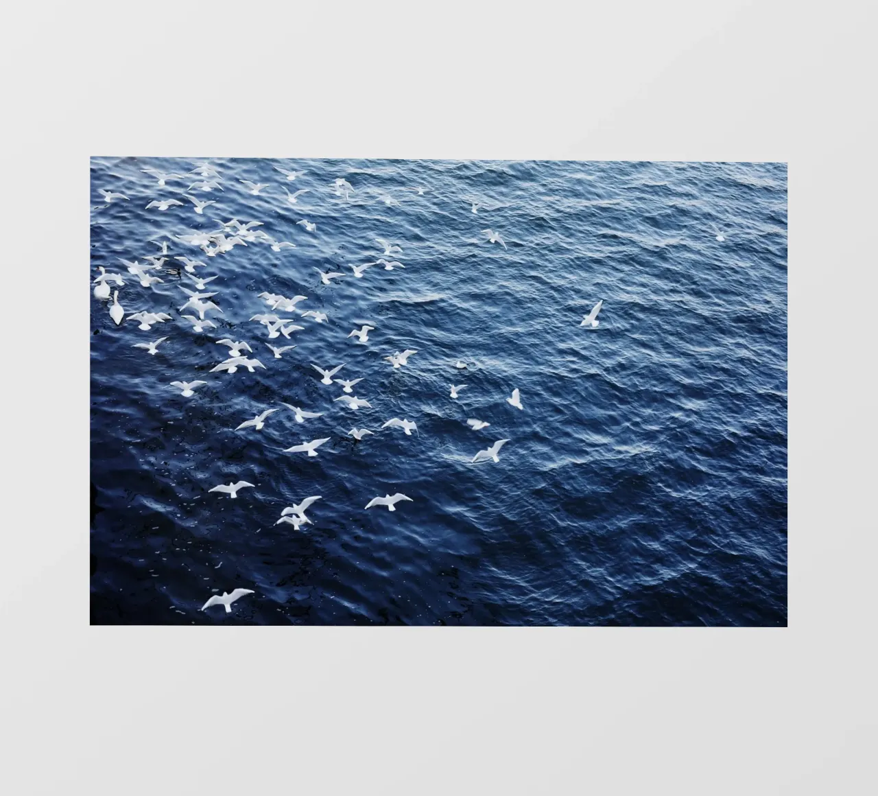 Zeemeeuwen in Wenen (Oostenrijk) fotobehang van fotokunst