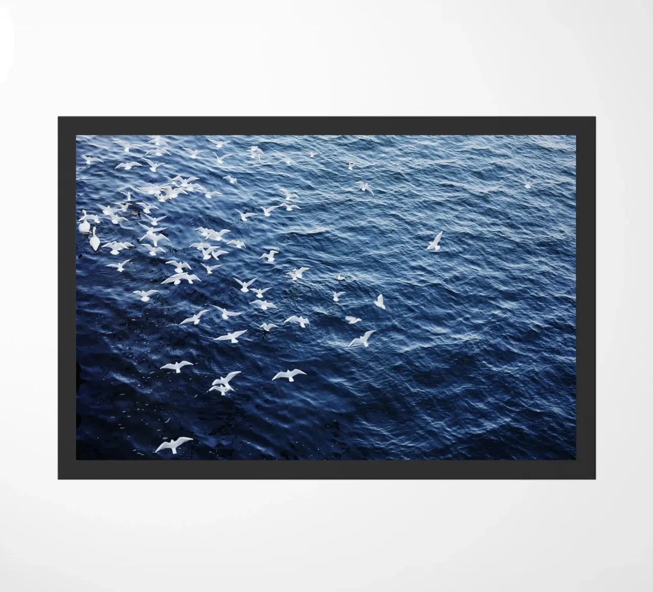 Zeemeeuwen in Wenen (Oostenrijk) deurmat van fotokunst