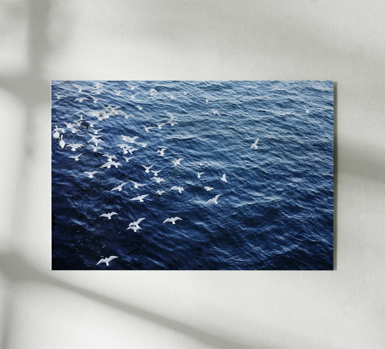 Zeemeeuwen in Wenen (Oostenrijk) acryl van fotokunst