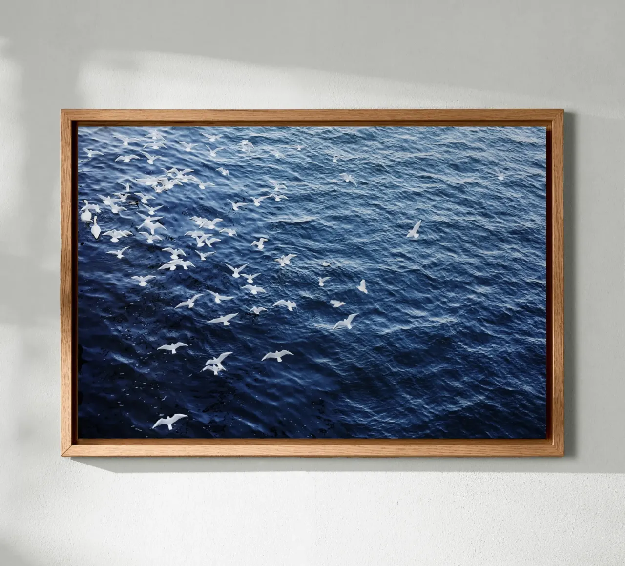 Zeemeeuwen in Wenen (Oostenrijk) canvas van Simon Koy