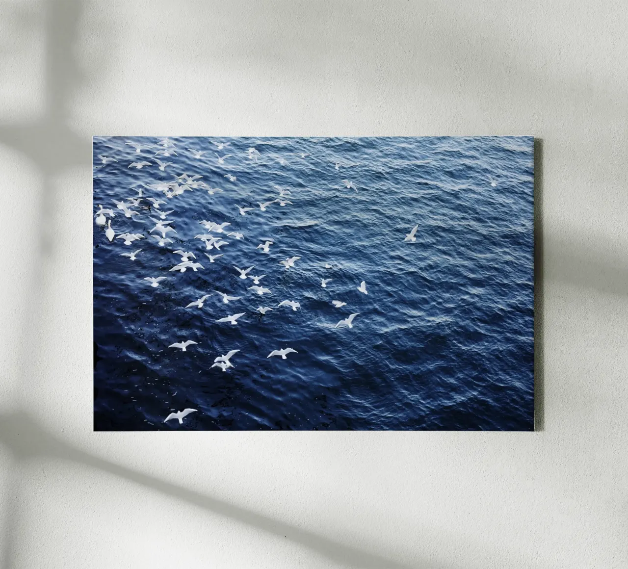 Zeemeeuwen in Wenen (Oostenrijk) canvas van fotokunst