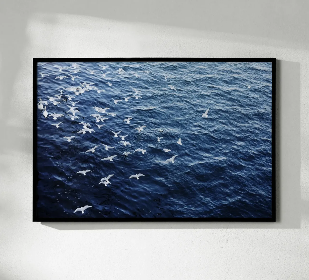 Zeemeeuwen in Wenen (Oostenrijk) poster van fotokunst