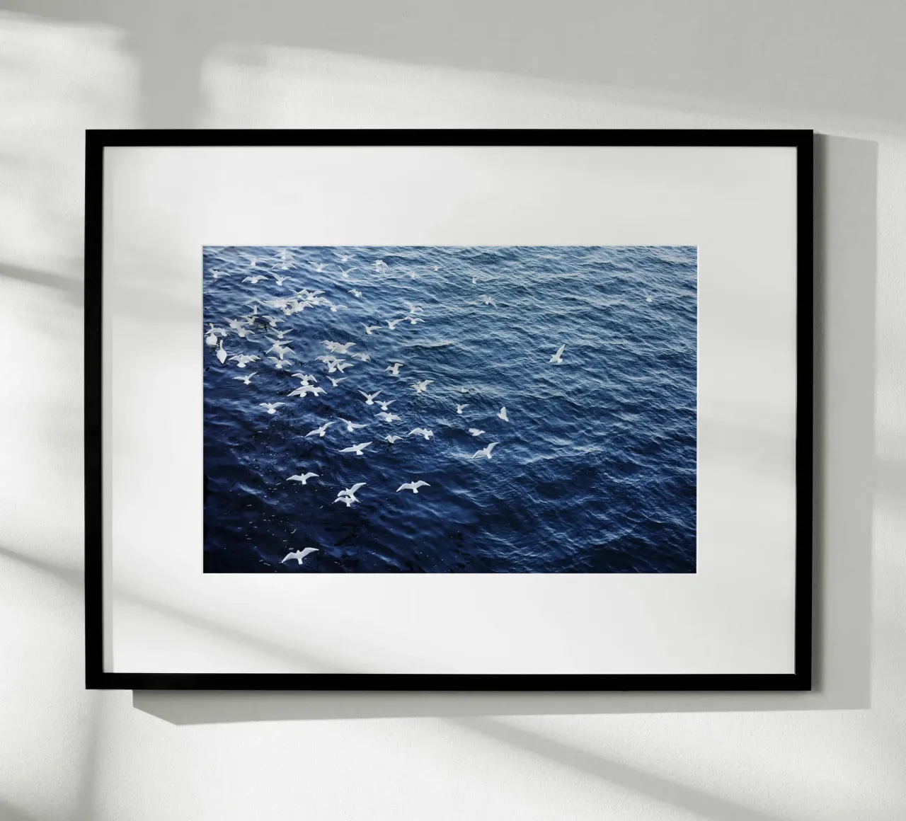 Zeemeeuwen in Wenen (Oostenrijk) poster van fotokunst