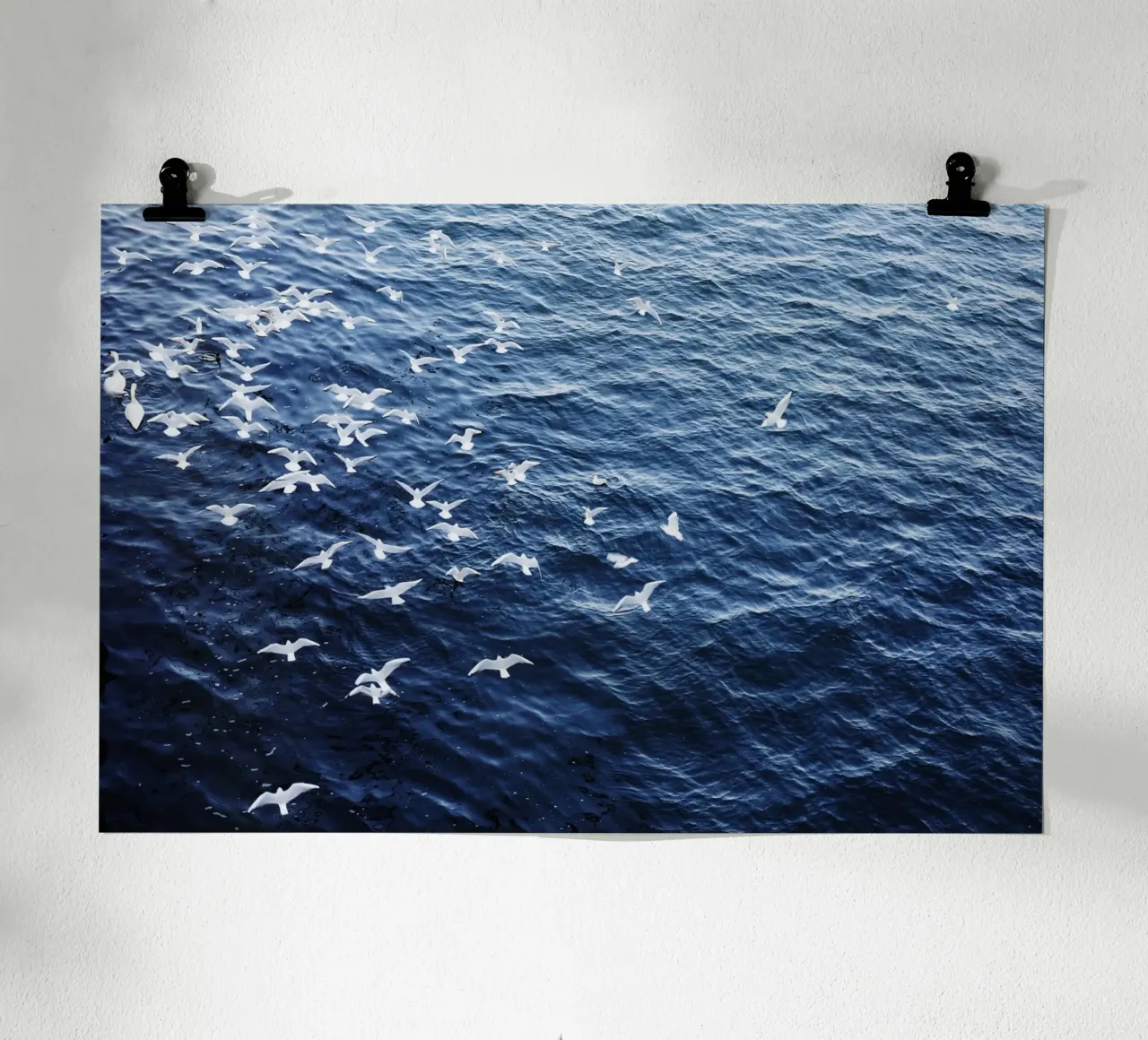 Zeemeeuwen in Wenen (Oostenrijk) poster van fotokunst