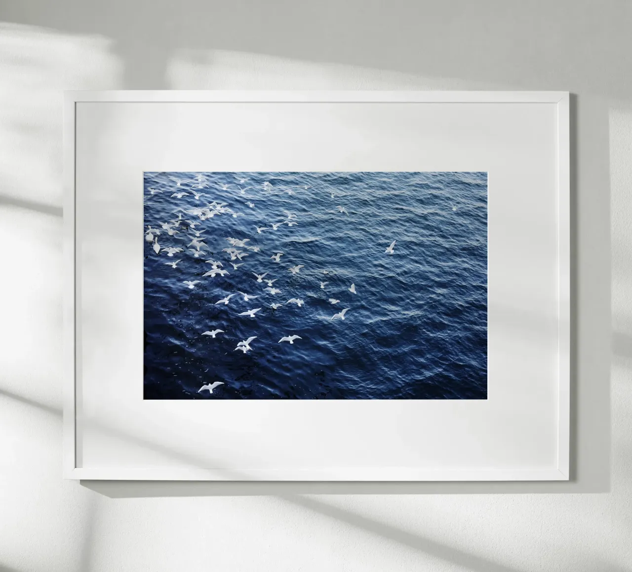 Zeemeeuwen in Wenen (Oostenrijk) poster van fotokunst