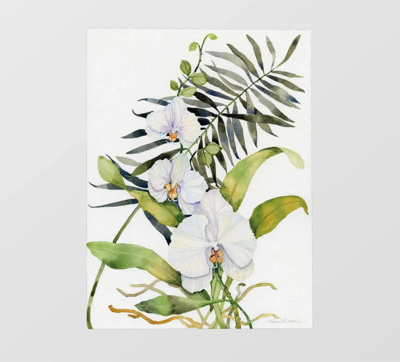 Phalaenopsis botaniche telo in pvc da Jennifer