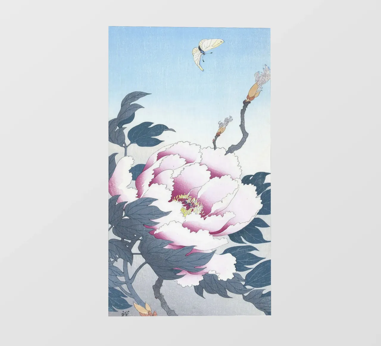 Peonia con farfalla pellicola backlit da Jennifer