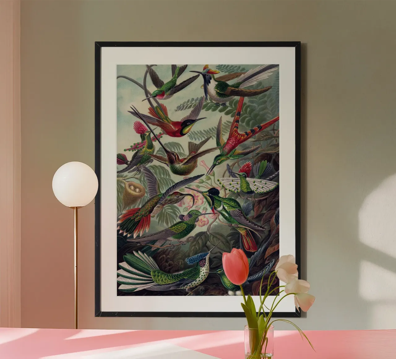Vintage Haeckel 18 Tafel 99 Kolibris poster de Vintage Print Collection