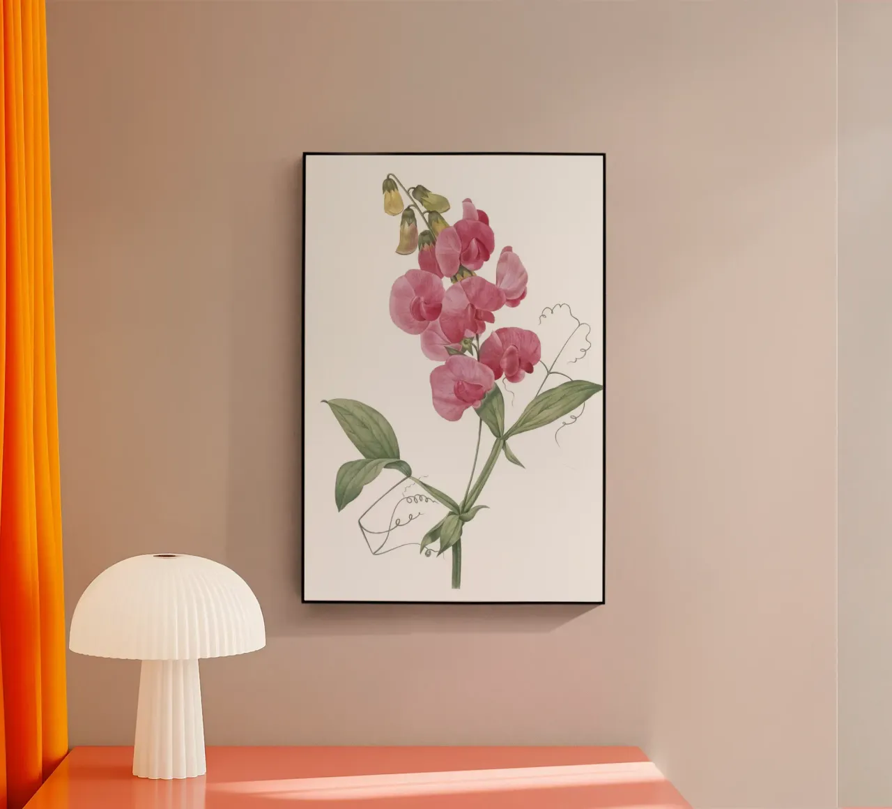 Lathyrus latifolius plexiglass da Jennifer