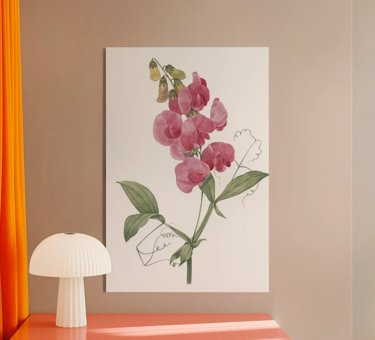 Lathyrus latifolius plexiglass da Jennifer