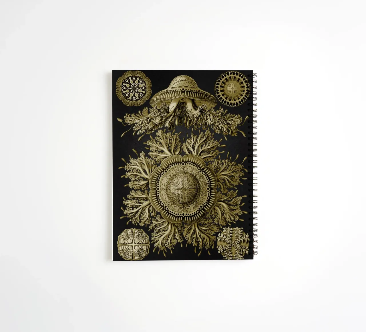 Vintage Haeckel 19 Tafel 28 Scheibenquallen spiral notebook by Vintage Print Collection