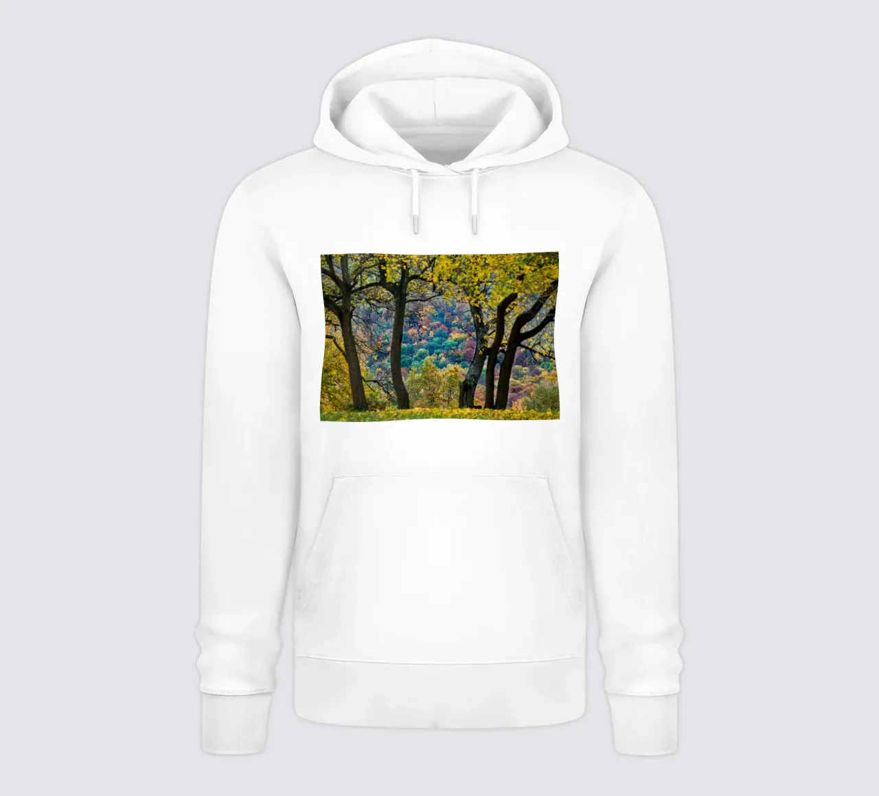 Colori d'autunno felpa con cappuccio da anderm