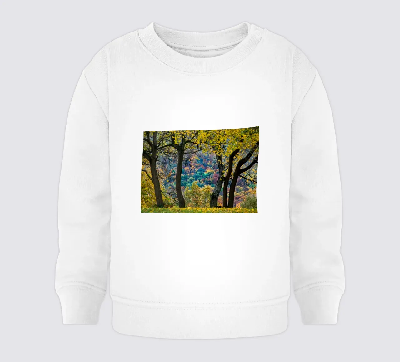 Colori d'autunno felpa neonato da anderm